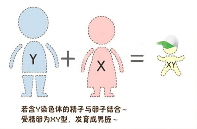 生男孩科学秘诀