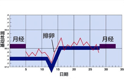 怎样用体温测排卵