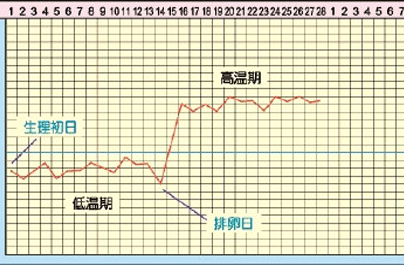 排卵期体温的变化