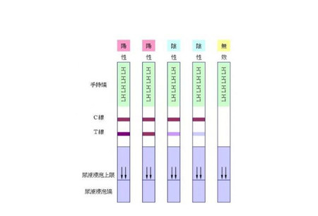 监测排卵的方法有哪些？