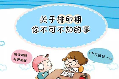 怀孕了还会排卵吗