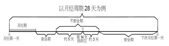 安全期和危险期怎么算