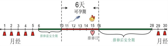 安全期和危险期怎么算