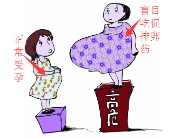 备孕期间吃什么促排卵