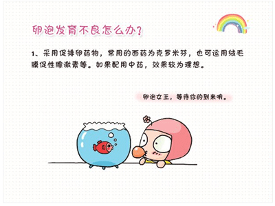 卵泡不好怎么治疗