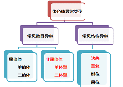 染色体异常的原因