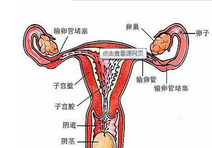 输卵管堵塞有什么症状