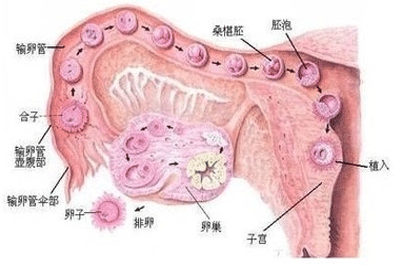 卵巢囊肿治疗方法有哪几种