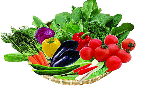 降血压的蔬菜