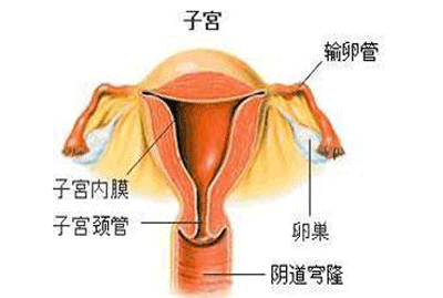 输卵管粘连怎么治最好