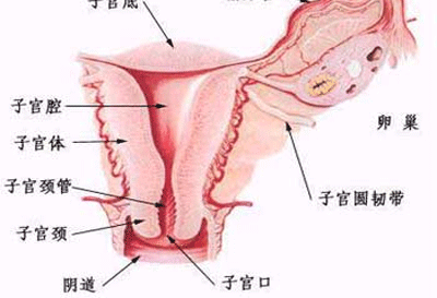 子宫颈癌怎么治疗