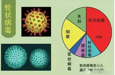 轮状病毒怎么引起的