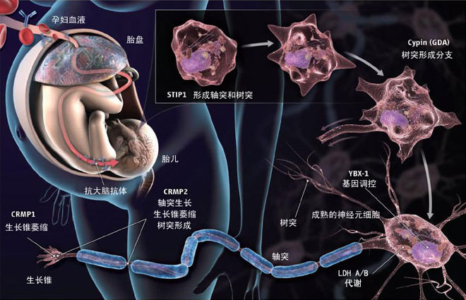 如何让胎儿富有文学细胞