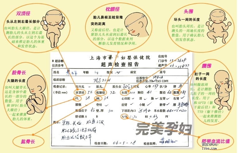 胎儿也能感受明暗变化