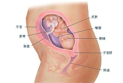 怀孕17周注意事项