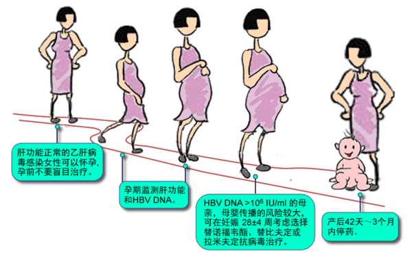 当病毒爱上了准妈妈