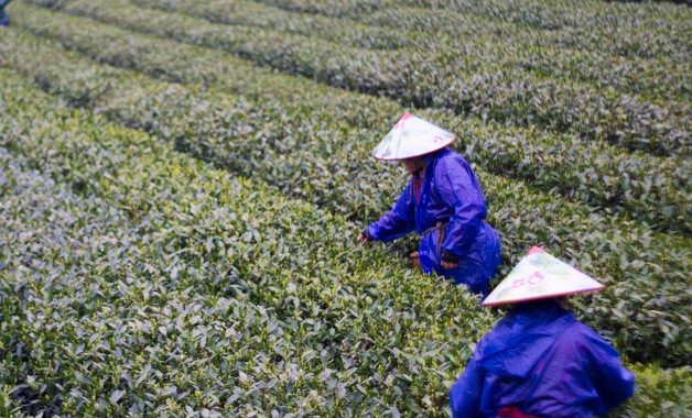 范冰冰在榜