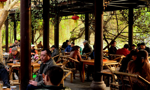 鸭屎香茶叶是什么茶