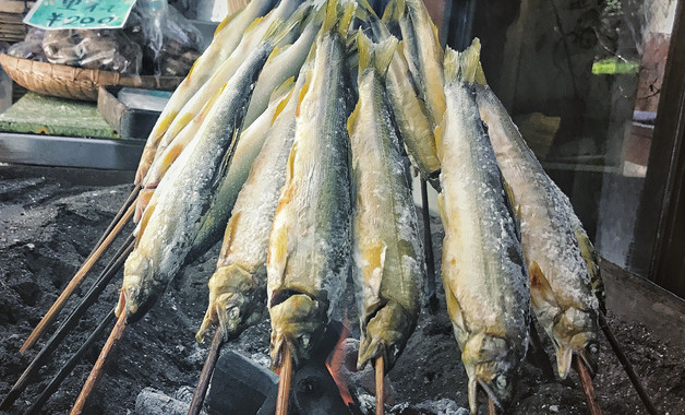 用血打窝钓黄骨鱼可以吗